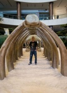 Túnel monumental que simula el costillar de un dinosaurio o fósil gigante en una zona comercial con un letrero de Bancolombia al fondo, fabricado mediante impresión 3D por CR Studio 3D en Medellín.