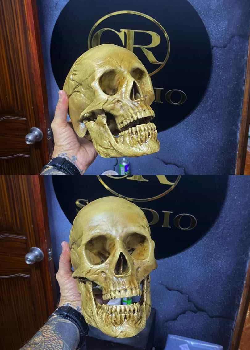 Cráneo impreso en 3D realista decoración alternativa CR Studio 3D